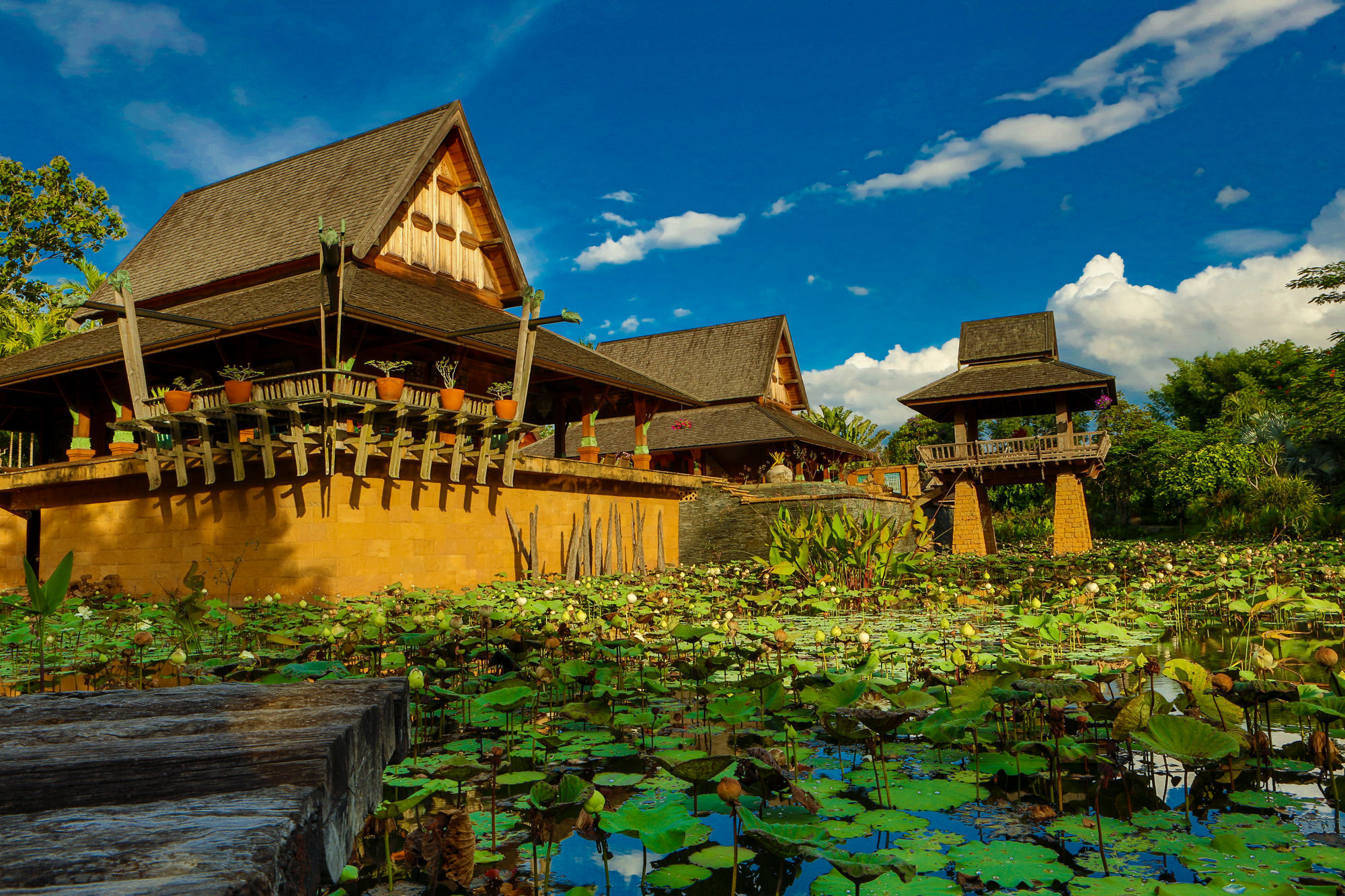 Howie'S Homestay Mae Rim Bagian luar foto