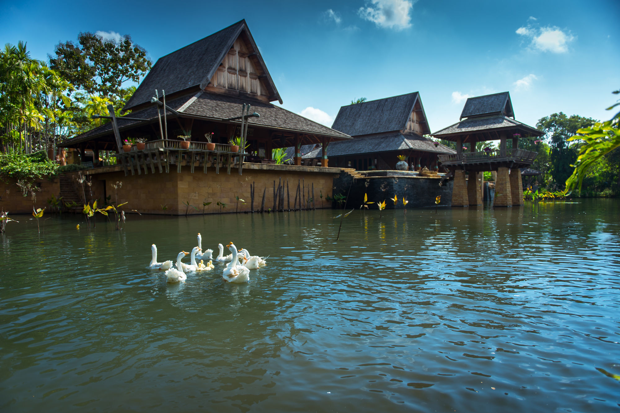 Howie'S Homestay Mae Rim Bagian luar foto
